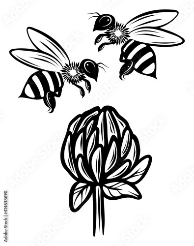 Two bees over clover flower, monochrome, vector