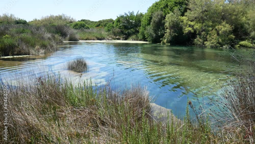 Spundulata Maggiore is a pond in the Palude del Capitano Nature Reserve (swamp of the captain), Nardò, Salento, Lecce, Apulia, Italy Spundulata Maggiore is a pond in the Palude del Capitano Nature Reserve (swamp of the captain), Nardò, Salento, Lecce, Apulia, Italy