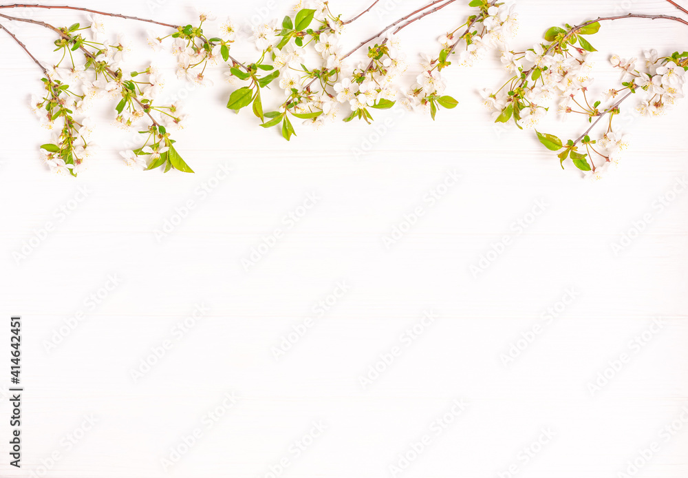 Blossoming cherry branches on a white wooden background. Blossoming cherry branches on a white wooden background.