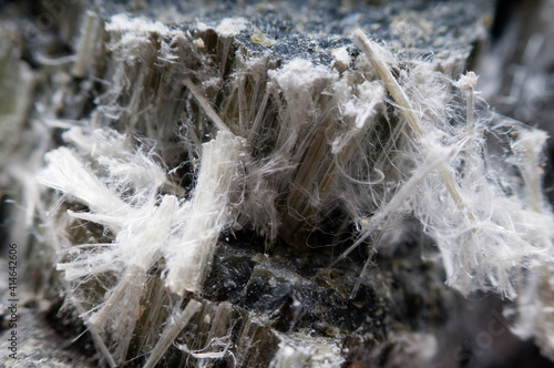 asbestos chrysotile fibers © Terry Davis1/Wirestock
