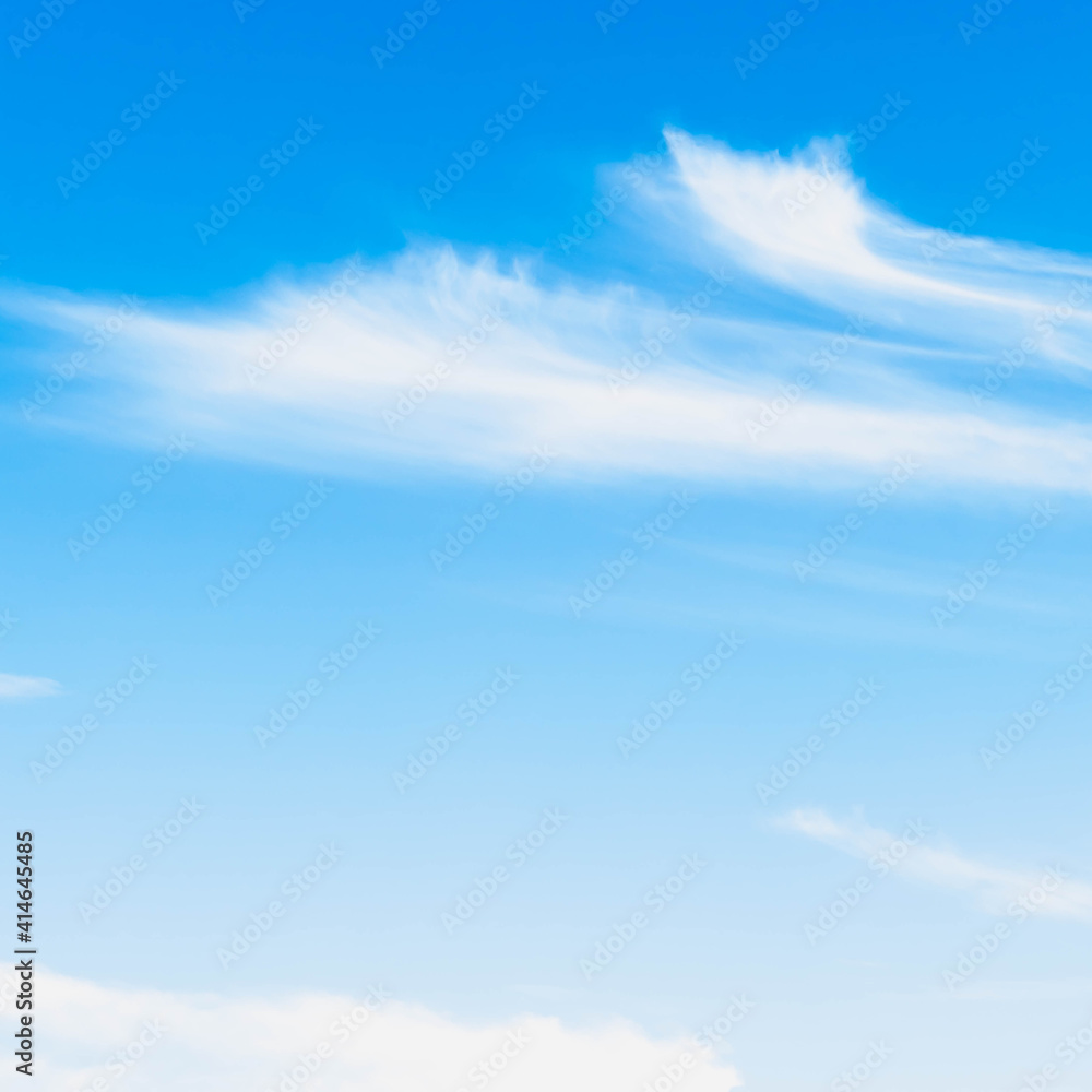 Fototapeta premium OLYMPUS DIGITAL CAMERA