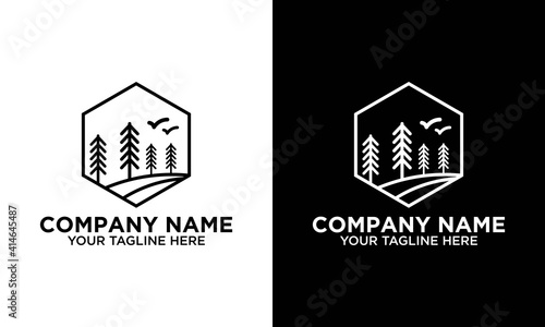 pine evergreen fir hemlock spruce conifer cedar coniferous cypress larch pinus tree forest vintage retro hipster line art Logo design