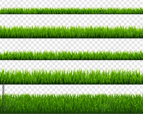 Green Grass Set Isolated Transparent Background, Vector Illustration