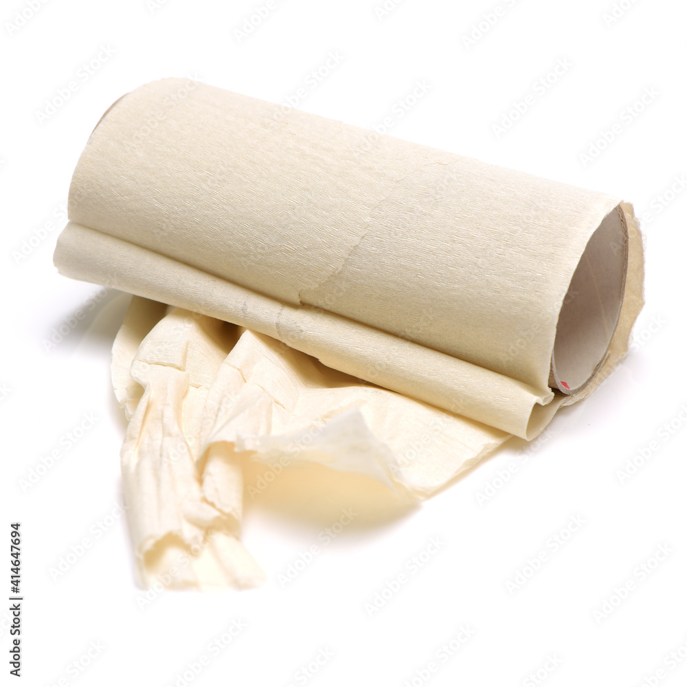 Fototapeta premium Empty toilet roll on white background