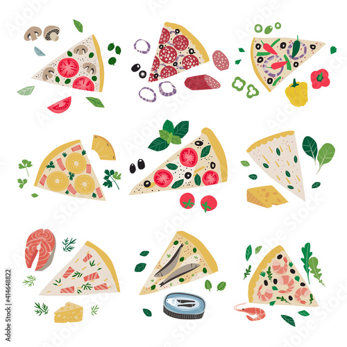 Collection of various pizza slices, clip art vector illustration