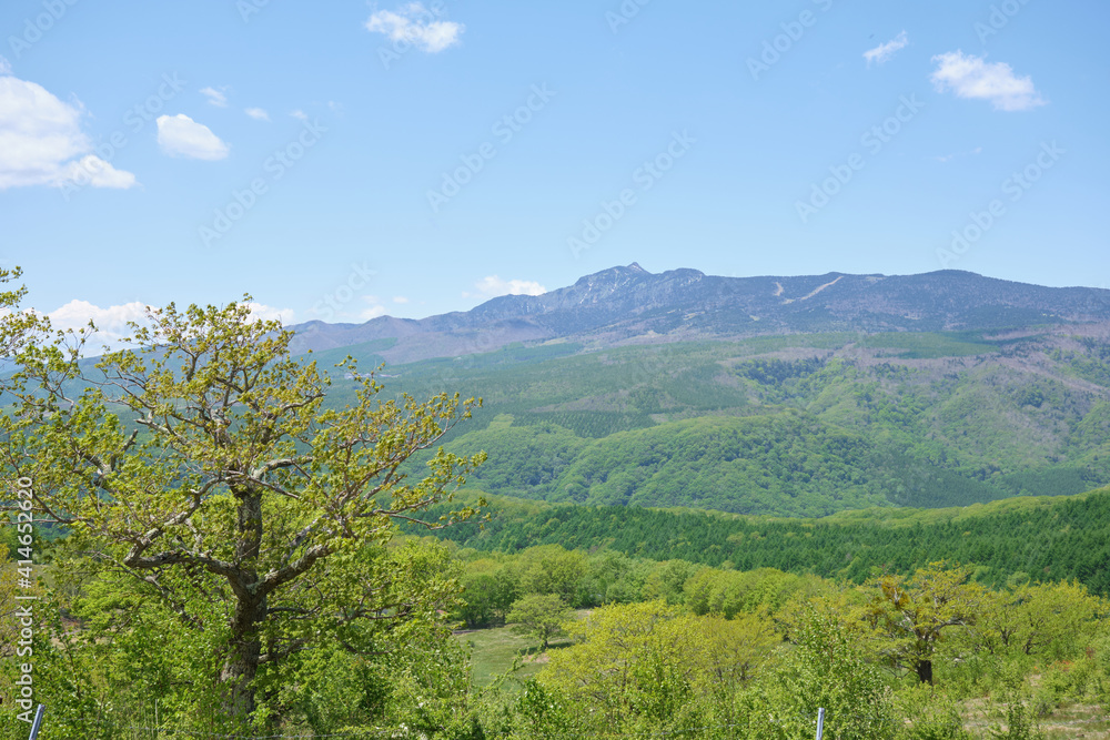 Obraz premium 初夏の嬬恋牧場 愛妻の鐘 群馬県嬬恋村の観光名所