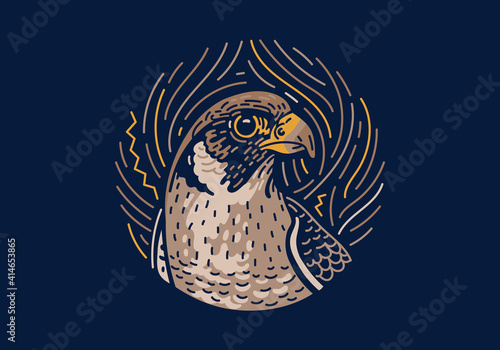 Falcon, native zodiac, dark mode background texture with illustration of a falcon. Vector illustration and decorative elements.