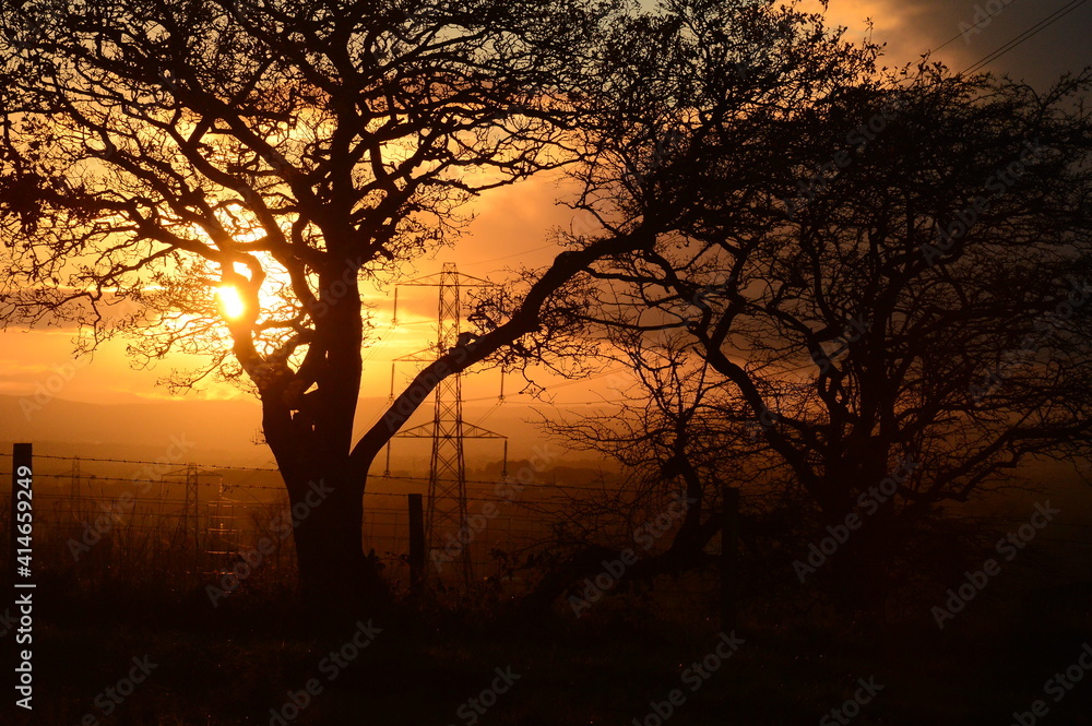 some trees during sunset on the top of a hill with some electric pylons behind them in the distance giving a harmony between man made and nature some trees during sunset on the top of a hill with some electric pylons behind them in the distance giving a harmony between man made and nature
