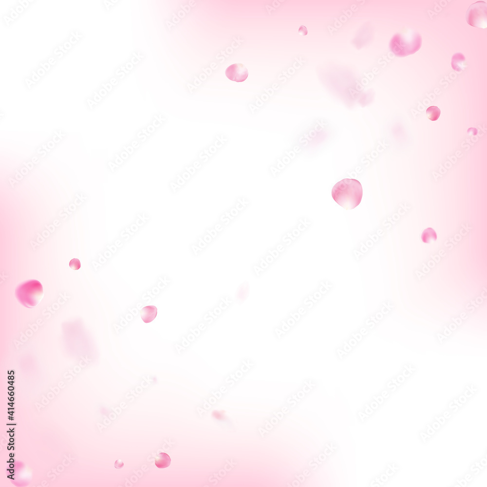 Rose Petals Flying Confetti. Blooming Cosmetics Ad Noble Flower