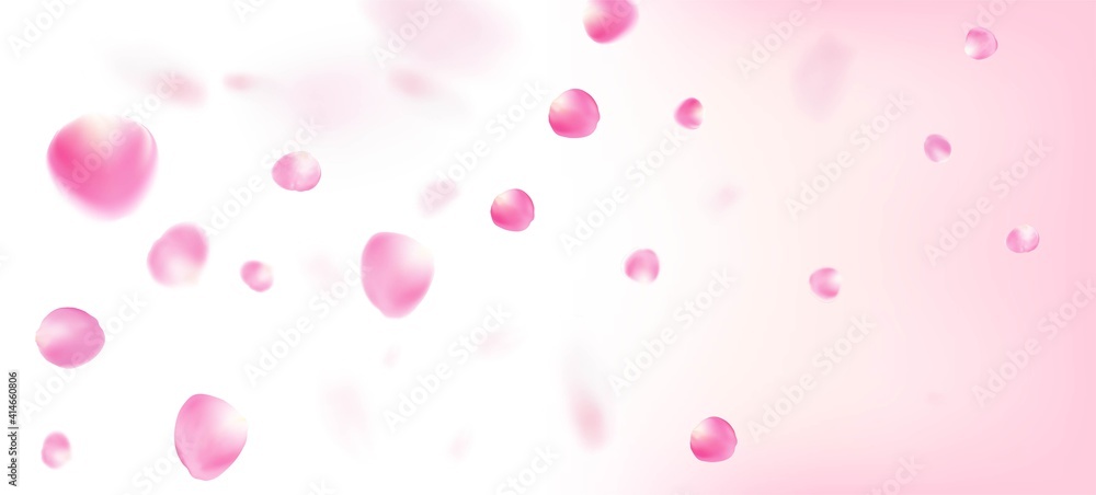 Rose Petals Falling Confetti. Blooming Cosmetics Ad Elegant Floral