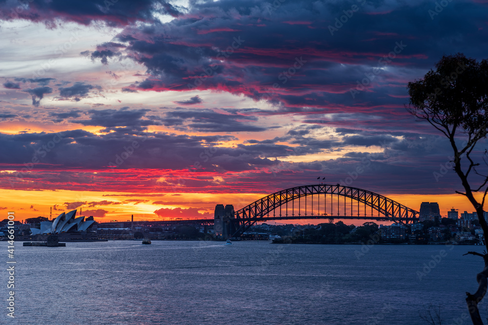 Naklejka premium City landscape of iconic Sydney skyline