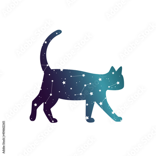 Cosmos cat with stars and constellations. Sky kitty isolated on white.