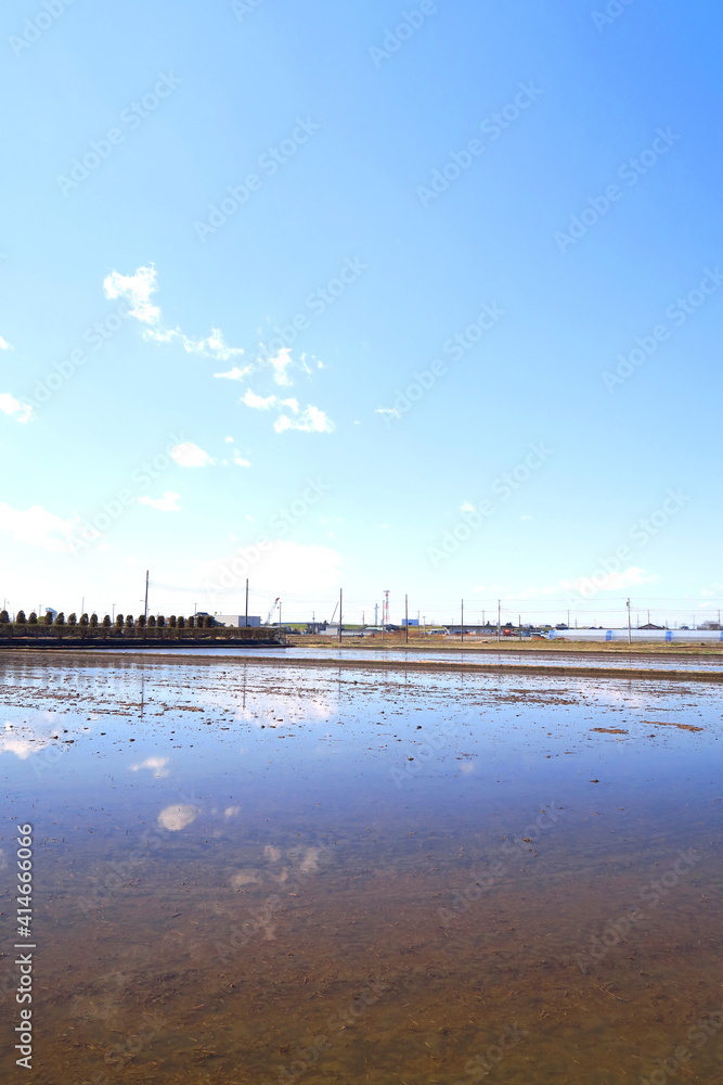 Fototapeta premium 水を入れた早春の田圃風景
