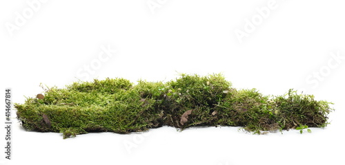 Quadro em tela Moss on tree bark, mossy wood isolated on white background