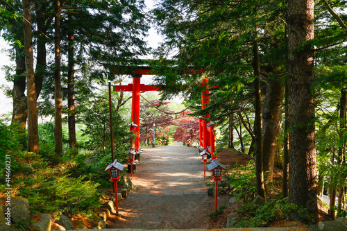 神聖な雰囲気　鳥居