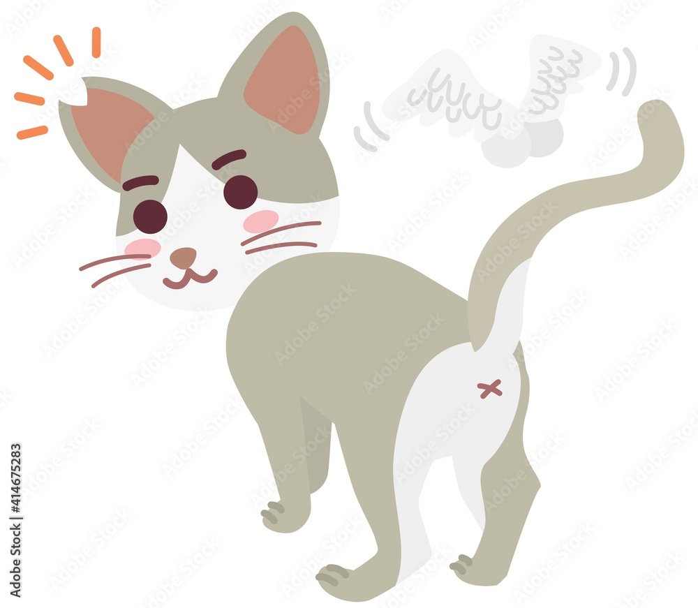 去勢手術と耳カットをした地域猫の男の子 去勢手術と耳カットをした地域猫の男の子