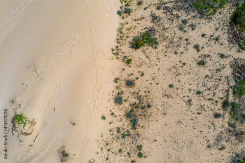 Sand dunes in Arkutino beach in Bulgaria photo