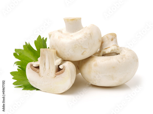 white mushrooms on a white background