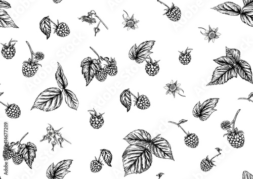 Raspberry or blackberry. Ripe berries on branch. Seamless pattern, background. Graphic drawing, engraving style. Vector illustration on black background.