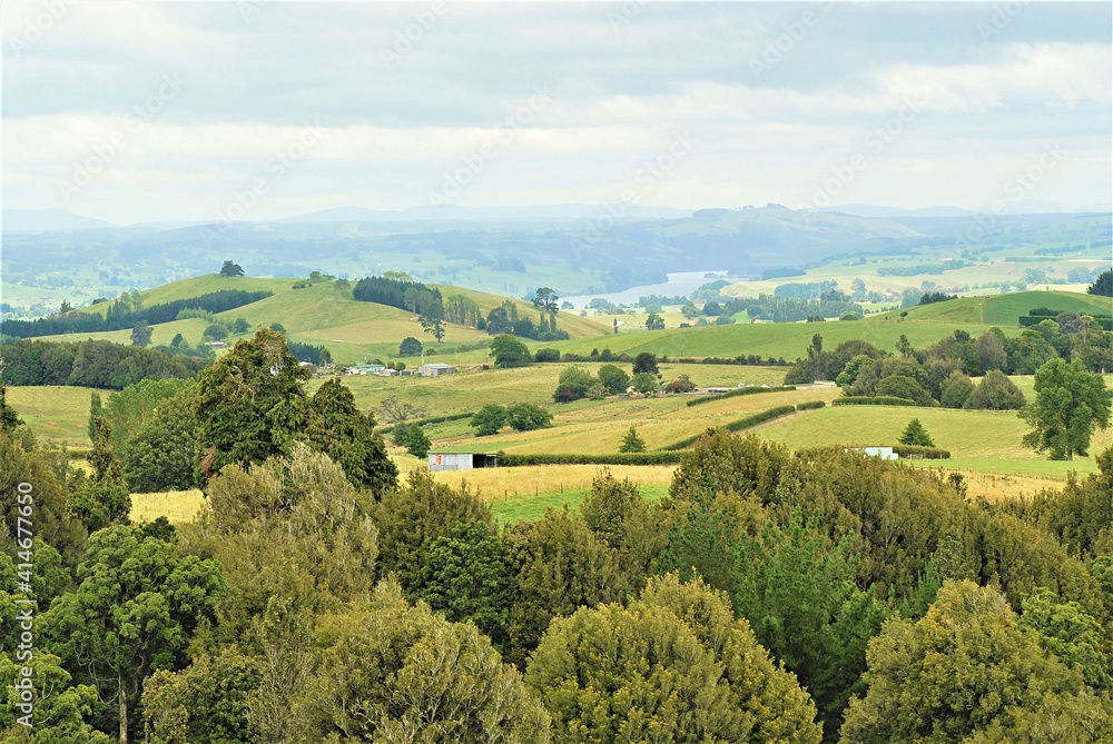 countryside view in New Zealand