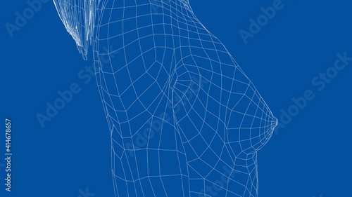 Wireframe female breast. Close-up view