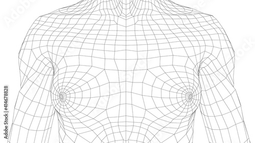 Wireframe female breast. Close-up view