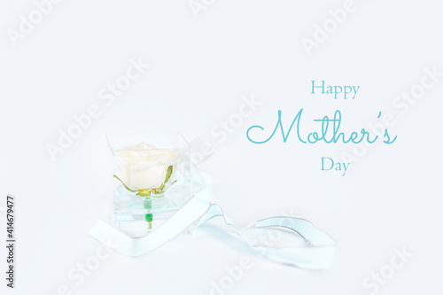 Fototapeta Naklejka Na Ścianę i Meble -  Glass transparent container wrapped in a bow with a white rose inside. Photo caption happy mothers day, Greeting card