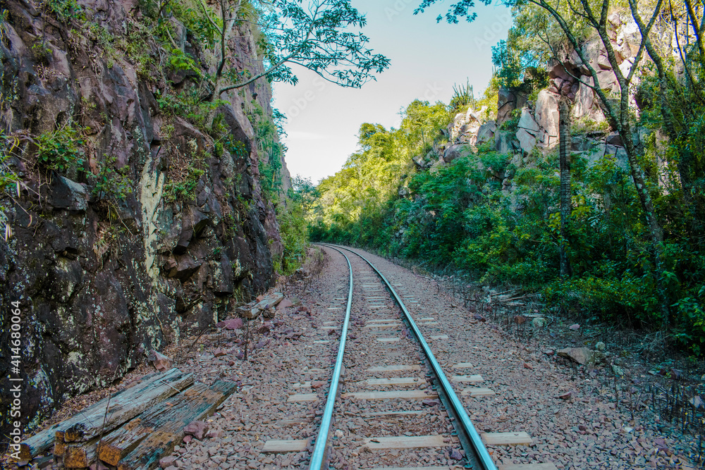 Obraz premium railway in the forest