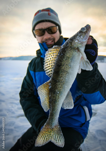Trophy zander. Ice fishing background.	