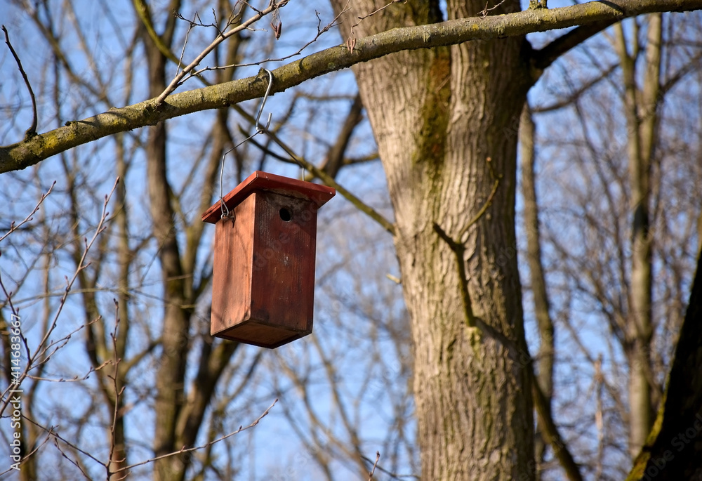 Bird feeder in the woods