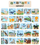 Vector letters of the alphabet with cute animals for kids education. 