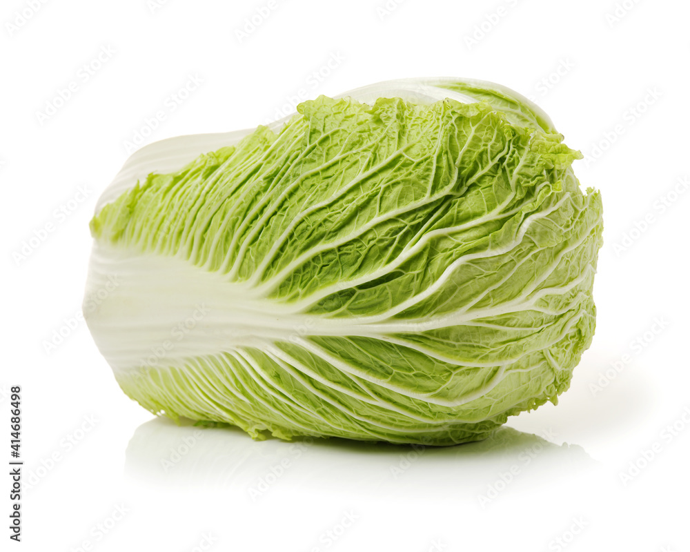 Fototapeta premium cabbage isolated on white background