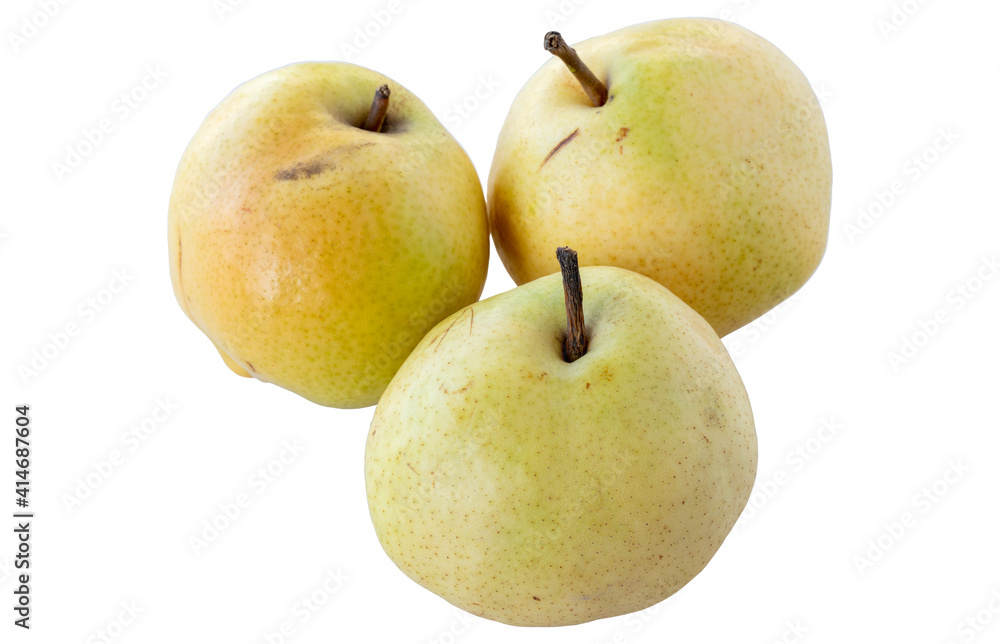 Pear isolated on white background. Local name deveci armut Pear isolated on white background. Local name deveci armut