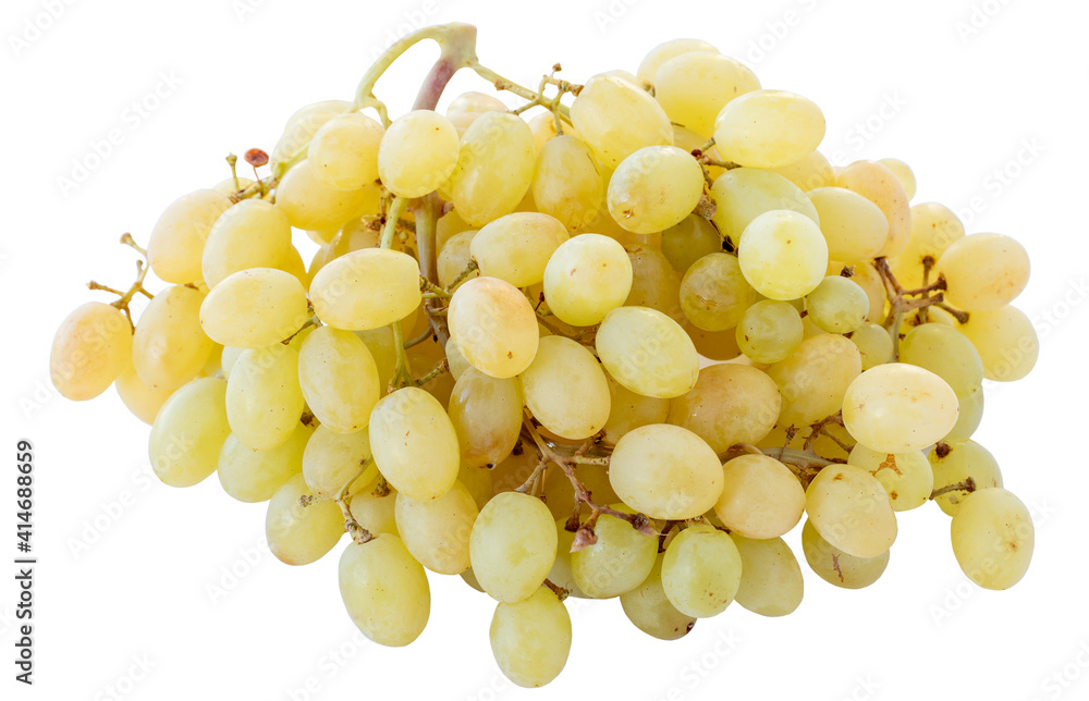 Yellow grapes isolated on white background Yellow grapes isolated on white background