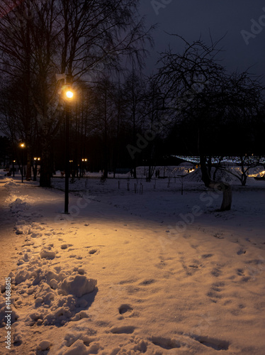 Photo of a winter landscape. Evening park with snow illuminated by a street lamp. Beautiful urban nature. Winter holidays. For greeting cards, interior printing, wallpaper.