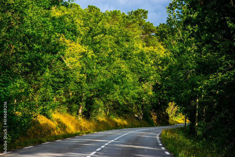 Obraz premium Vegetación abundante junto a una de las carreteras francesas que recorren la región histórica de la Dordoña