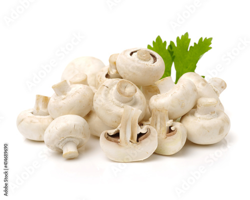 White mushrooms on white background