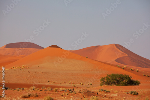 Sand desert in Namib