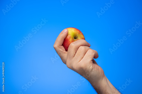 Fresh ripe yellow and red apple held in hand by Caucasian male hand isolated on blue background studio shot