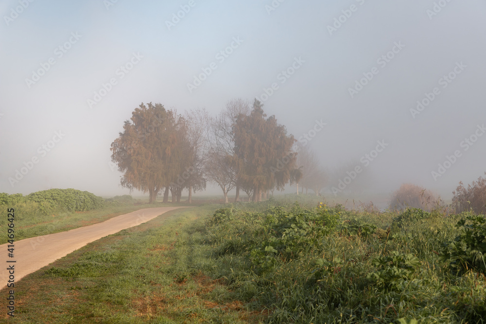 Heavy  fog over Lake Hula nature reserve on an early winter morning in northern Israel