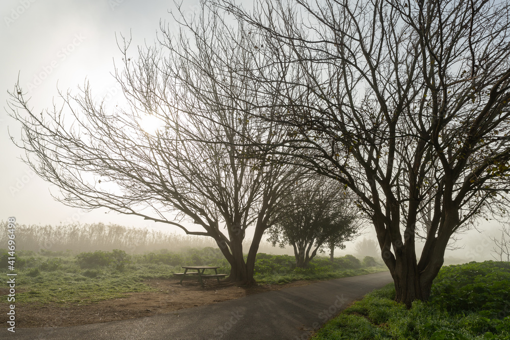 Fototapeta premium Heavy fog over Lake Hula nature reserve on an early winter morning in northern Israel