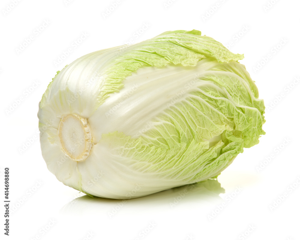 Fototapeta premium cabbage isolated on white background