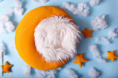 Fotografi newborn digital background with  fir backdrop