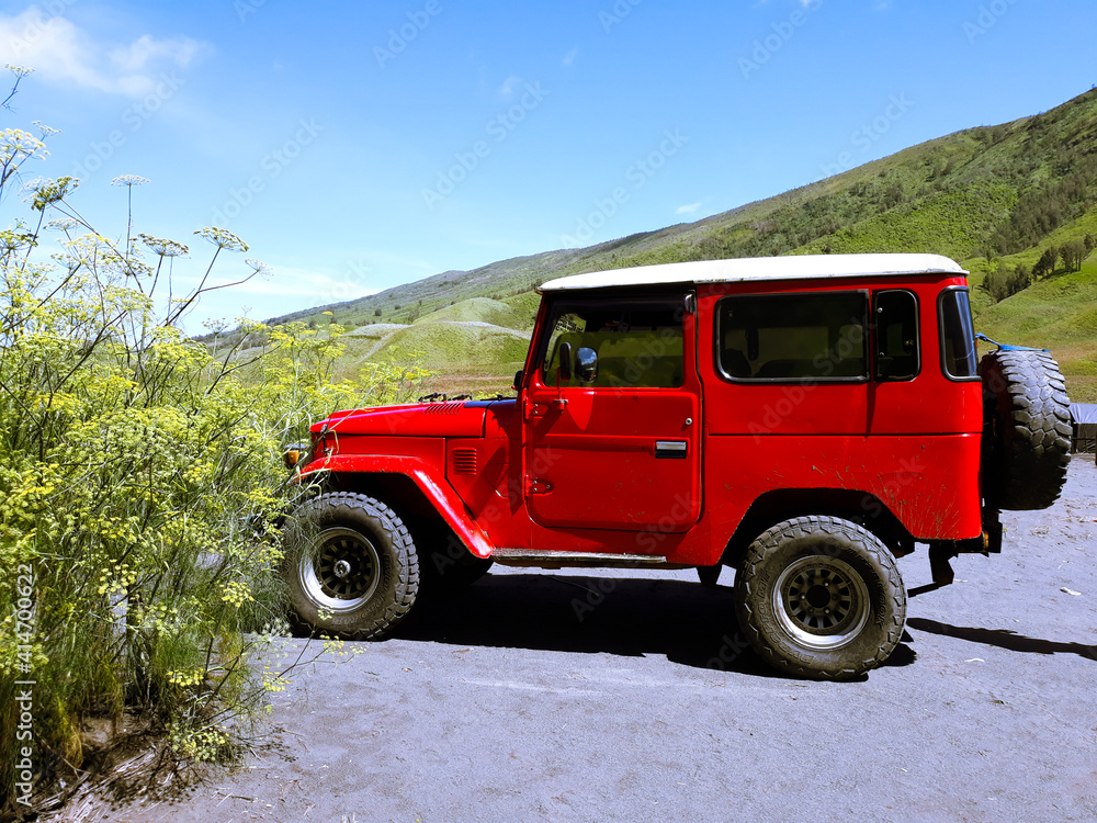 Red jeeps park on the flower fields near green mountain Red jeeps park on the flower fields near green mountain