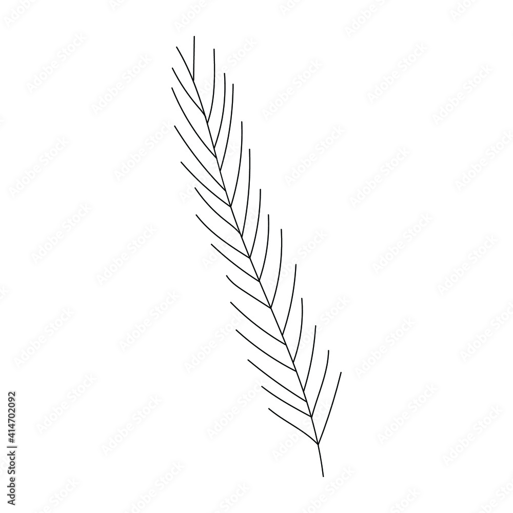 Vector hand drawn plant - leaves Black and white. Template design for sail, wedding save date, envelope, valentine, for party, holiday decor. Vector hand drawn plant - leaves Black and white. Template design for sail, wedding save date, envelope, valentine, for party, holiday decor.
