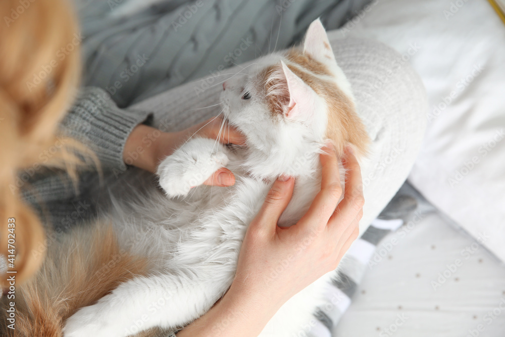 Woman with cute fluffy cat on bed, closeup Woman with cute fluffy cat on bed, closeup