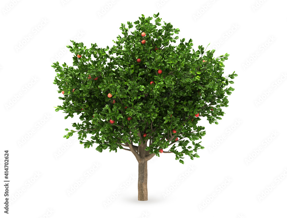 Apple tree isolated on a white background. 3 d illustration.