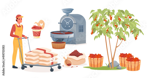 Coffee production set, man working, carrying bags with raw fruits before roasting process