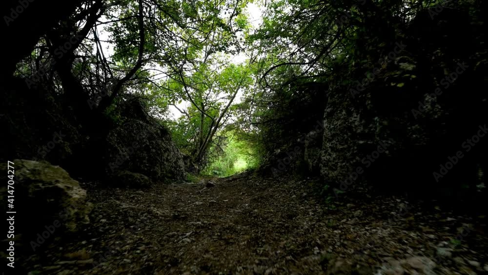 Walking on a narrow rocky path in a green forest Walking on a narrow rocky path in a green forest