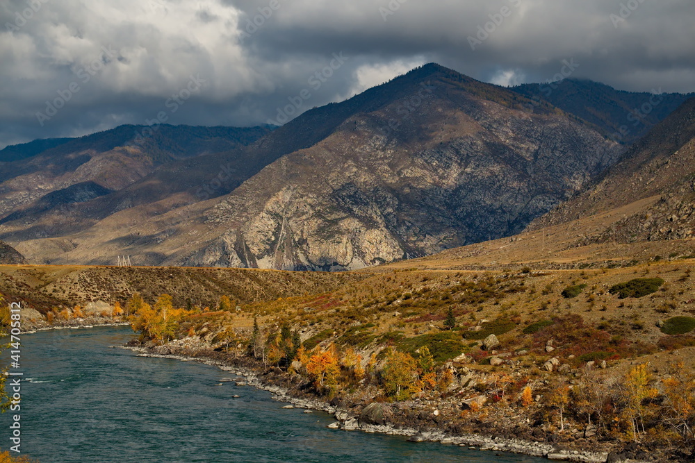 Russia. Gorny Altai. Picturesque autumn on the Katun River near the village of Maly Yaloman.